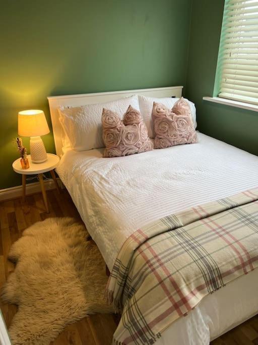 Cosy 2 Double Bed Apartment Суордс Екстериор снимка